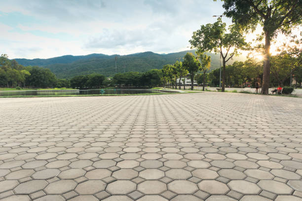 Best Residential Paver Driveway  in Fort Deposit, AL